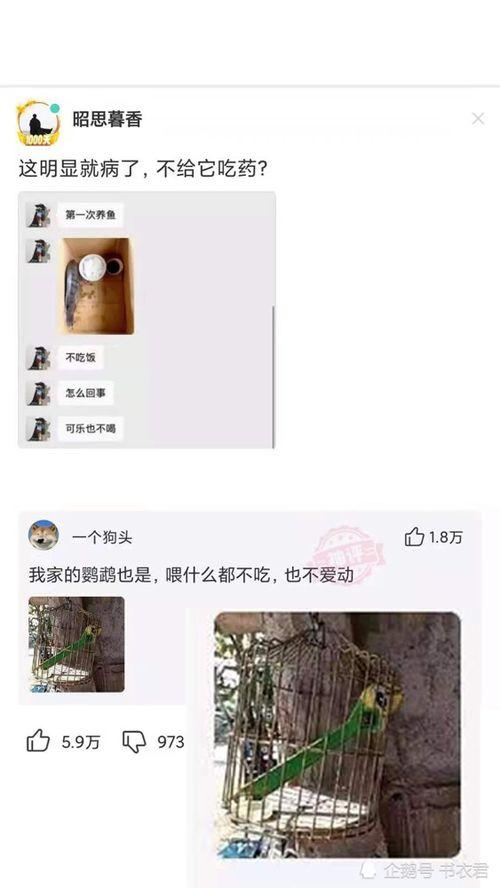 深圳网友冯女士最新爆料,揭秘事件背后惊人真相！  第3张